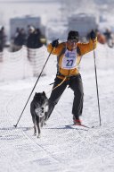 Lenk 2013